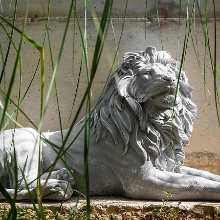 Mare's 1 Daire Split