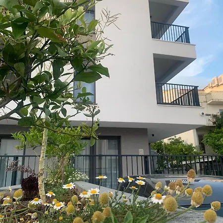 Mare's 1 Daire Split