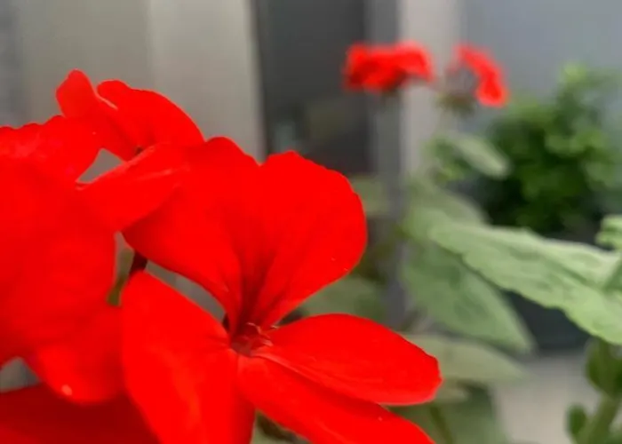 Διαμέρισμα Mare's 1 Σπλιτ