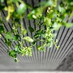 Apartman Mare's 1 *