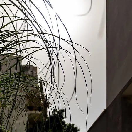 Lägenhet Mare's 1 *