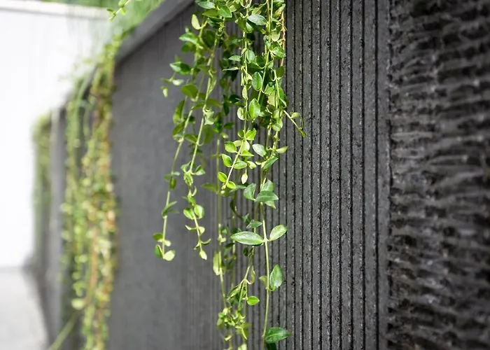 Apartment Mare's 1 *