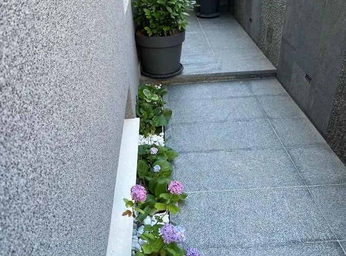 Mare's 1 * 斯普利特